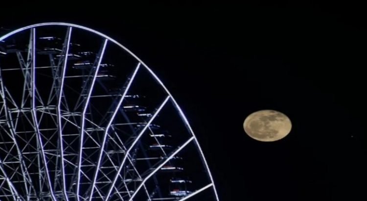 Captura-de-pantalla-2022-10-04-184824-750x410