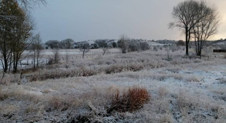 nieve-en-chihuahua-1-750x410