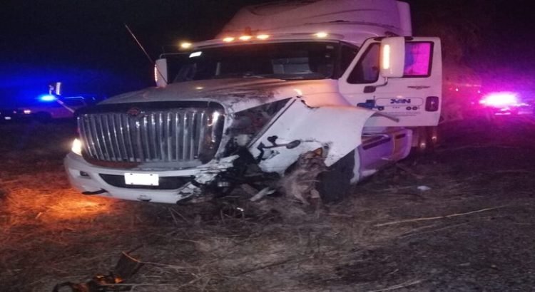 trailer-choca-contra-palmeras-en-la-mexico-15-ahome1-1536x1152-1-750x410
