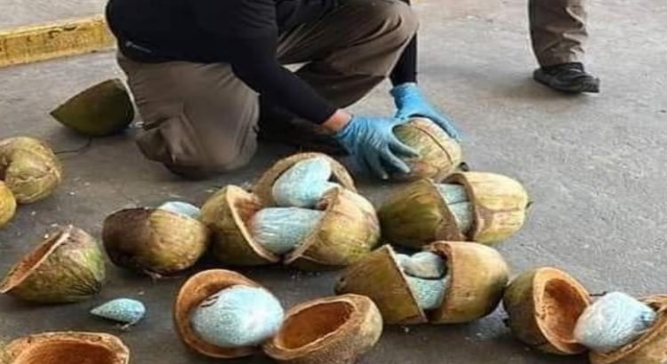 Decomisan-cocos-locos-tenian-fentanilo-en-su-interior-750x410