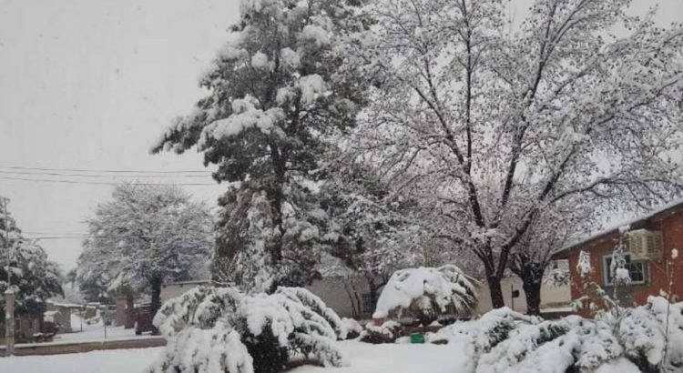 Nieve-en-Chihuahua-_Cortesia-2-1-750x410