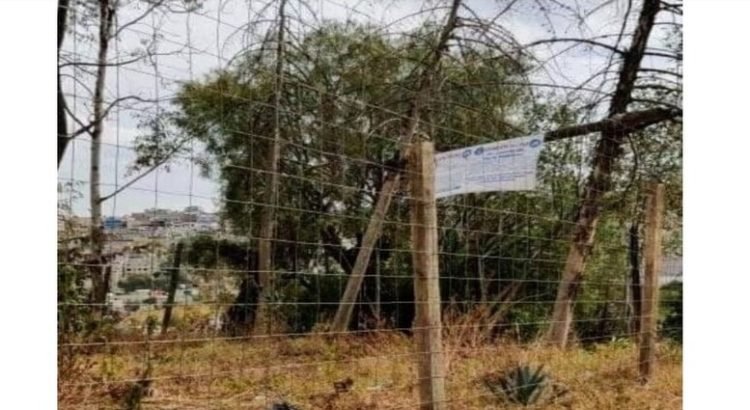 Escala conflicto por invasión del área de reserva ecológica de El Mazapán