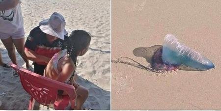 Emiten alerta en las playas de Tabasco ante la presencia de medusas