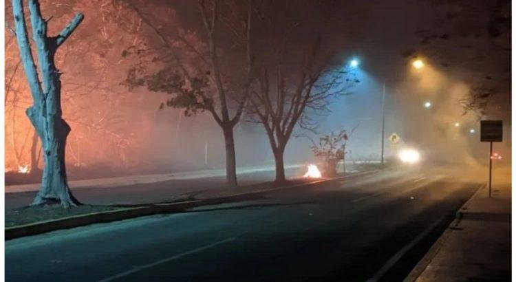 Mil hectáreas afectadas por incendio forestal activo en Champotón Conafor