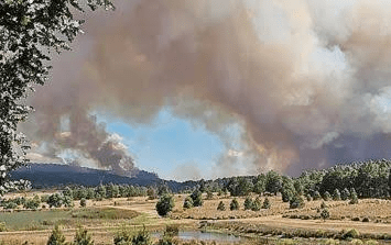 Alerta Atmosférica en Jalisco por incendios forestales