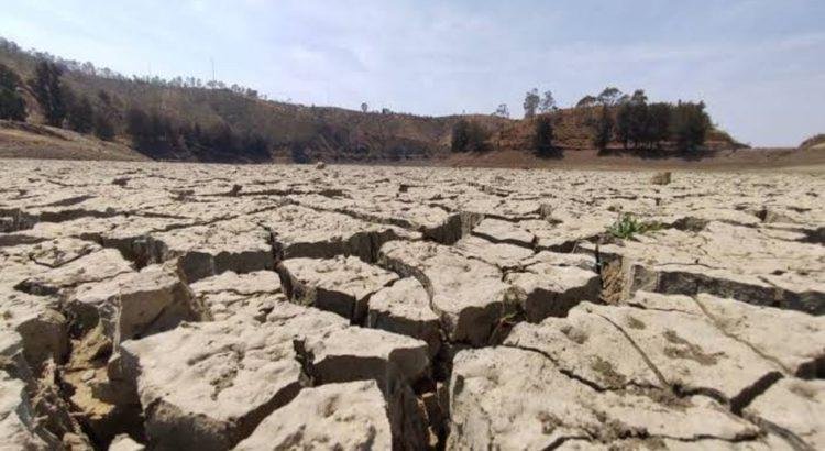Conagua reporta sequía en el estado de Guanajuato