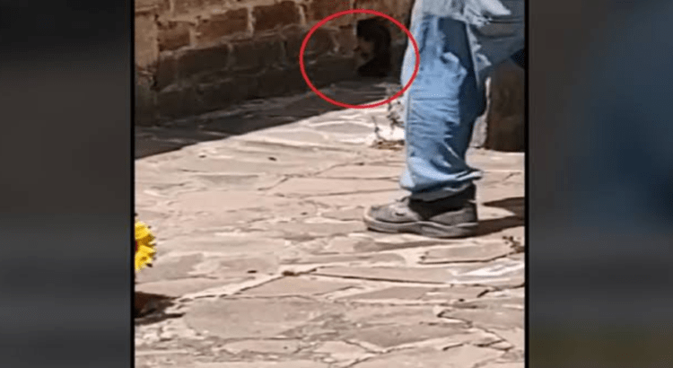 Captan a un niño fantasma en un cementerio de Jalisco