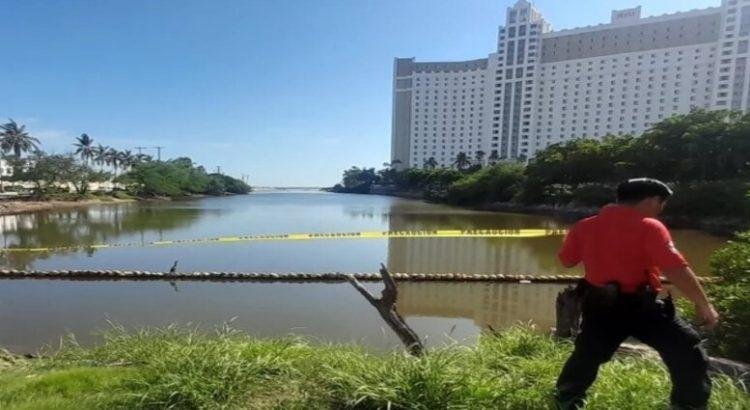 Por presencia de cocodrilos en Estero del Yugo en Mazatlán y cierran la zona