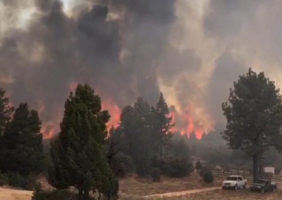 Patrulla Fronteriza de Arizona rescata a migrantes de incendio forestal y montañas peligrosas