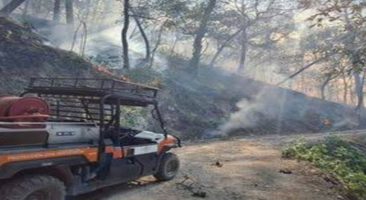 Combaten 130 elementos incendio forestal en la sierra de Iturbide, en Nuevo León