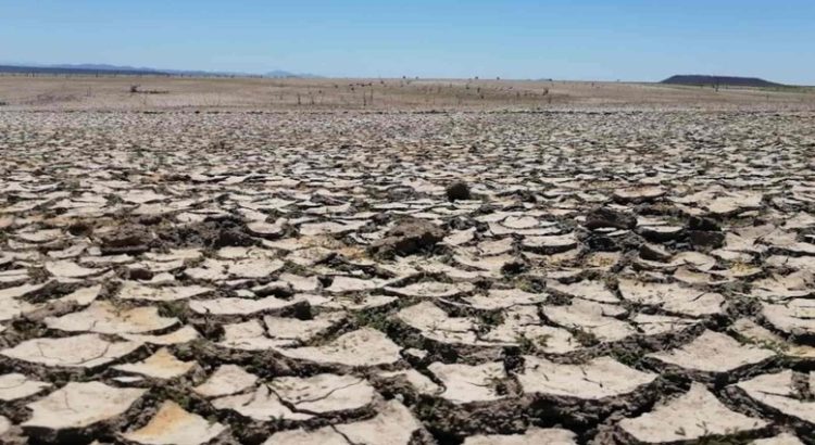 Salvador Alvarado es el municipio con mayor sequía de Sinaloa