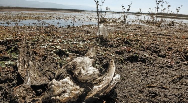 Se anuncia que hará tandeo de agua en municipios por sequía