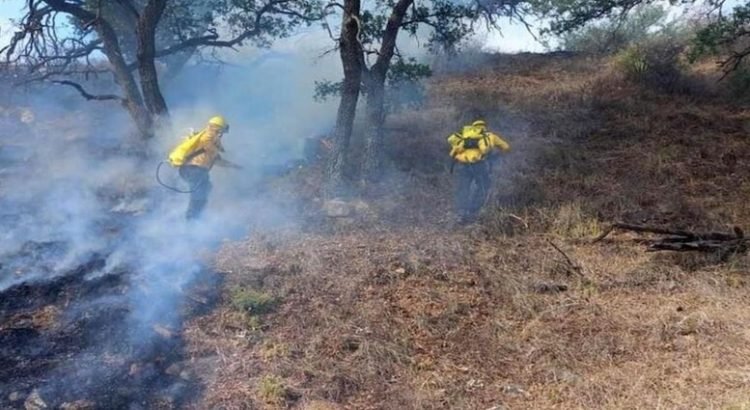 Van 29 incendios forestales en Querétaro