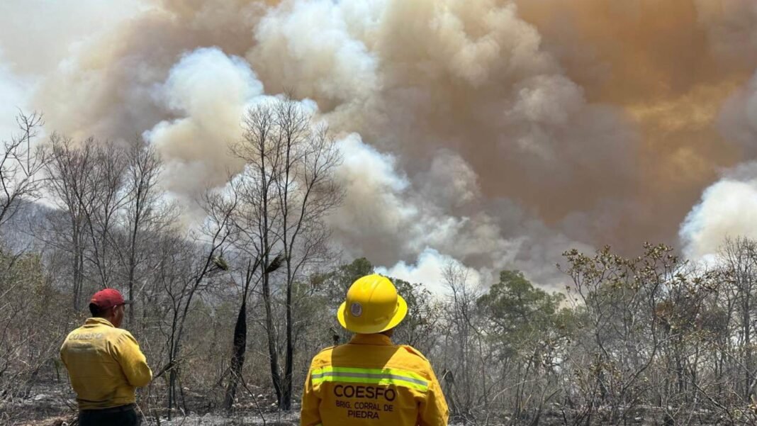 coesfo-incendio-oaxaca