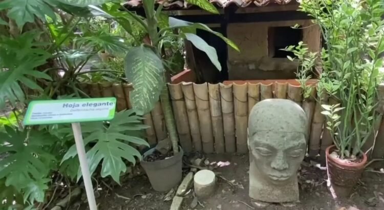 chiapas