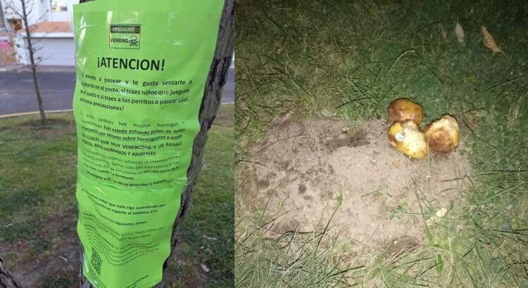 Advierten que exista posible veneno en área verde en Durango