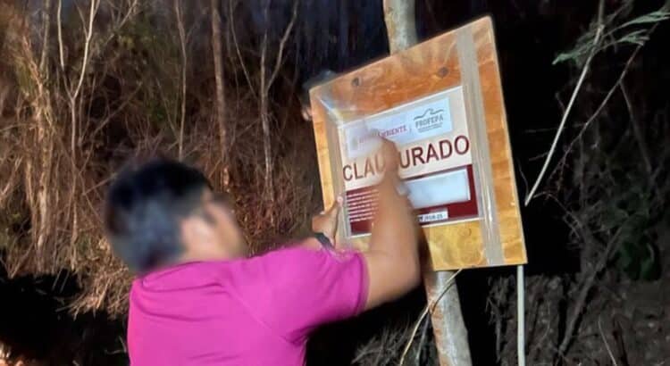 Profepa clausura predios por devastación de zona protegida en Yucatán
