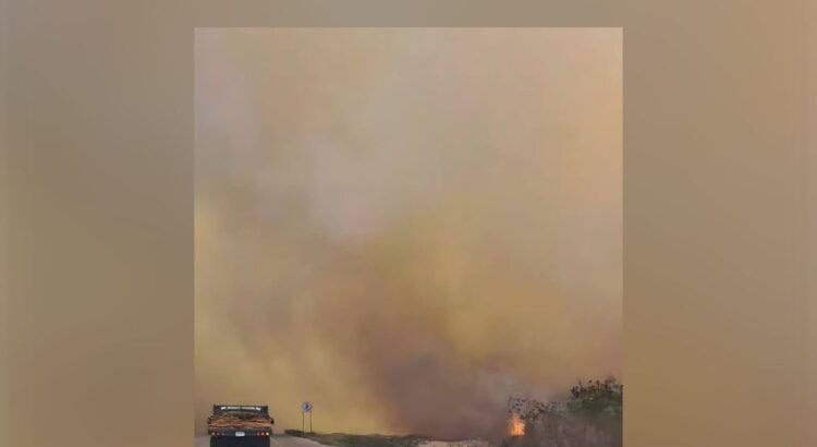 Incendios en Yucatán afectan más de 600 hectáreas