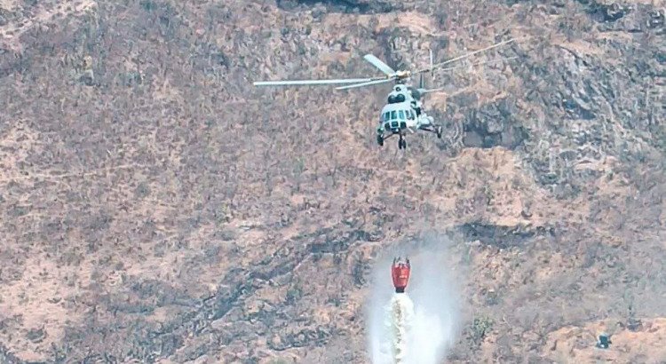Sofocan el incendio forestal en Sierra de Morones