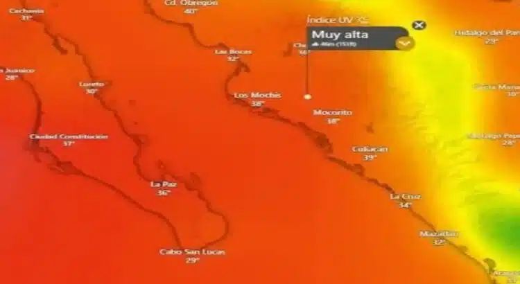 Captura-de-pantalla-2025-06-29-081326-750x410