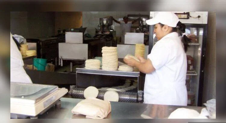 Imagen-de-WhatsApp-2025-08-05-a-las-08.12.00_209869d6-750x410