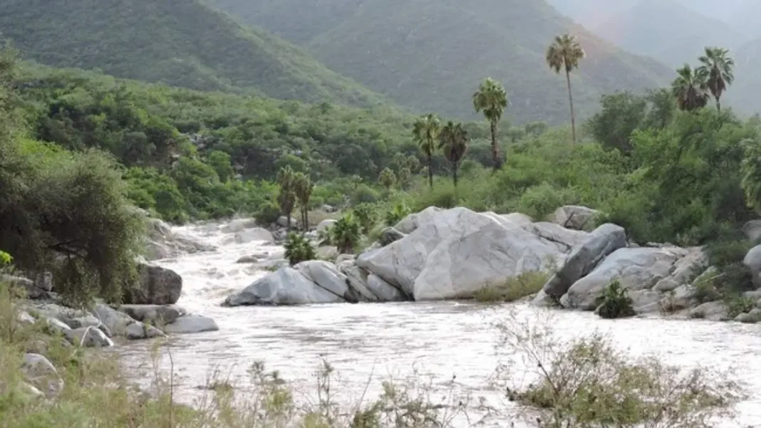 ¿Qué pretenden en la Sierra de la Laguna