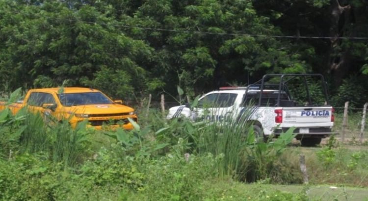 Mueren abuelo y nieto tras ataque de abejas en el campo