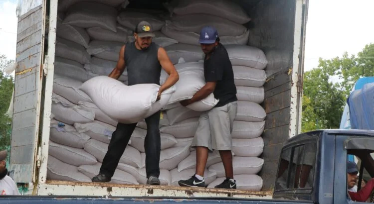 2-frijol-acopio-2-750x410