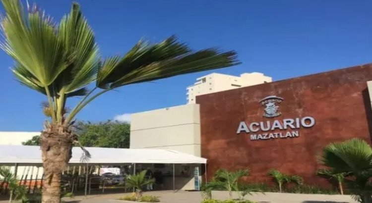 Gran Acuario Mazatlán adeuda más de 45 millones al Ayuntamiento