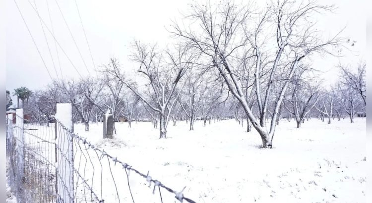 Pronostican seis tormentas invernales para esta temporada