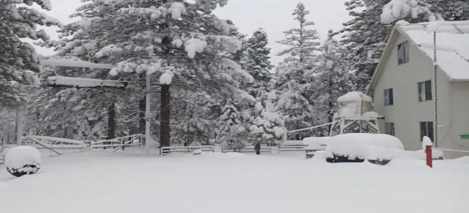 Captura-de-pantalla-2025-11-25-005330