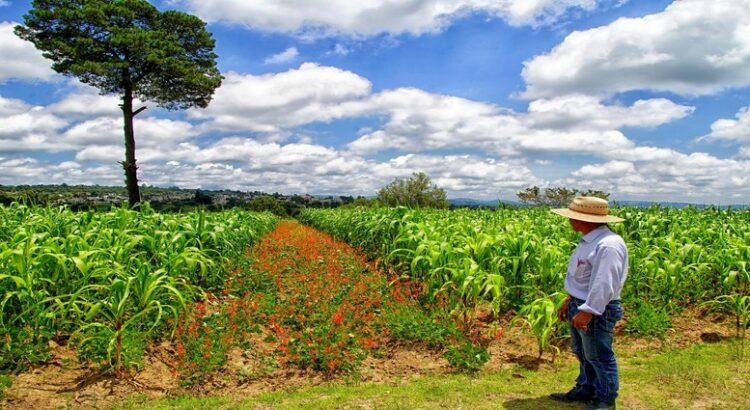 Gobernadora Cuéllar mantiene su compromiso con los campesinos tlaxcaltecas
