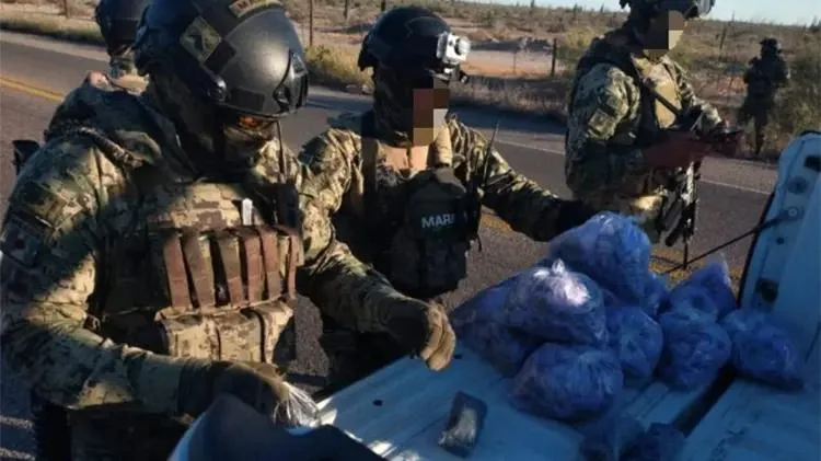 Golpe al crimen en Sonora 231 detenidos, armas y droga asegurada