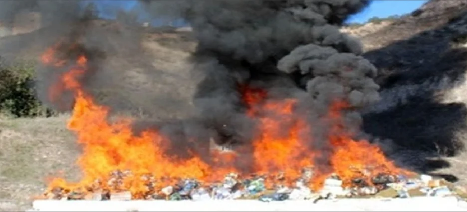 Incineran más de seis toneles de droga en Baja California