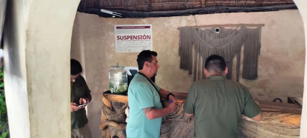 Profeco suspende a cuatro hoteles de Tulum por violar la Ley Federal de Protección al Consumidor
