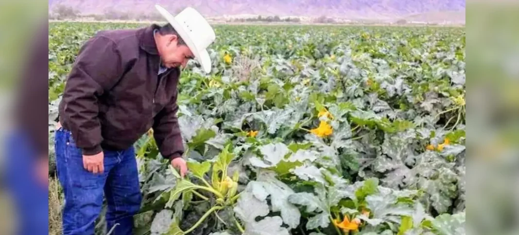 Se unen productores de la región a manifestación nacional contra la importación de granos básicos