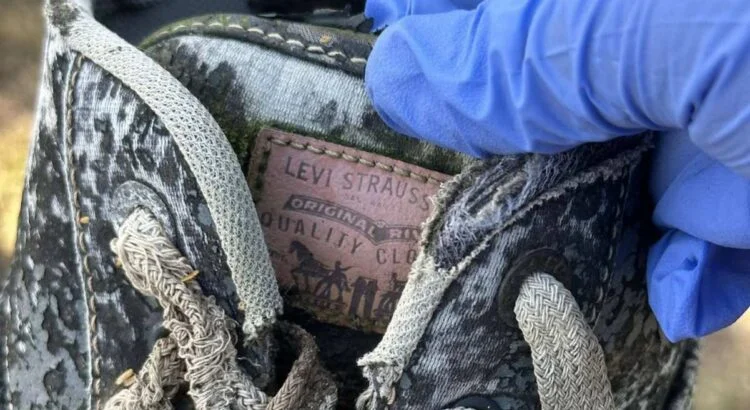 2-restos-y-osamentas-750x410