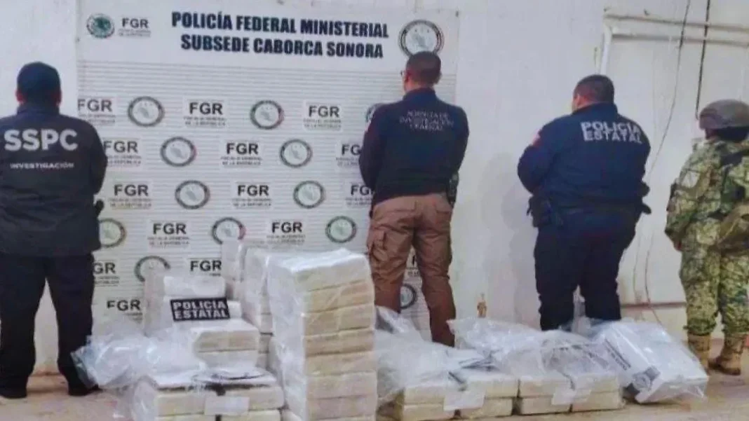 Decomisan 400 kilos de estupefaciente en Caborca; hay un detenido