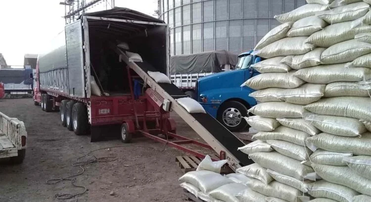 Hasta 2026 se definirá el acopio total de frijol