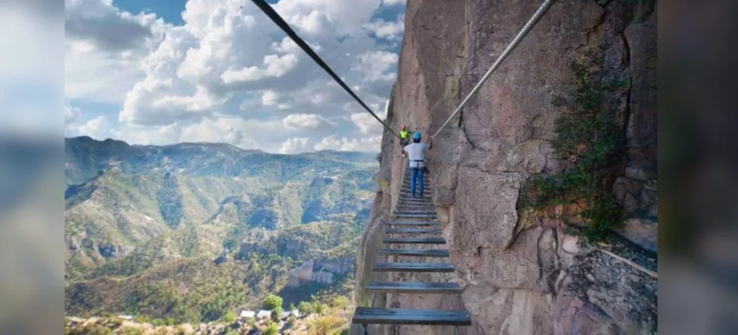 chihuahua-19-1536x697