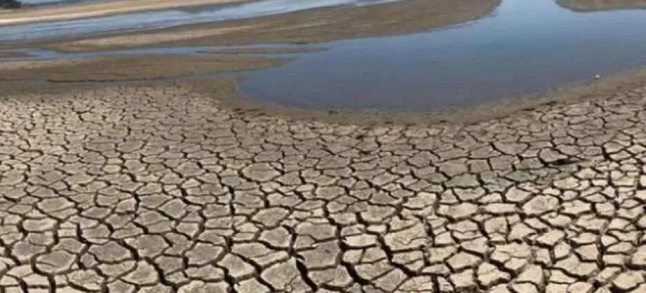 Algunos municipios de Coahuila ya suman dos años consecutivos con sequía