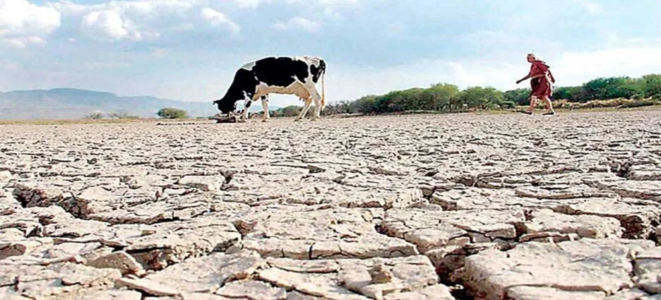 La sequía mantiene en una crisis en16 municipios del estado de Tamaulipas