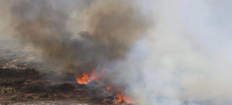 Son seis incendios forestales ponen en riesgo a comunidades cerca de San Luis Potosí