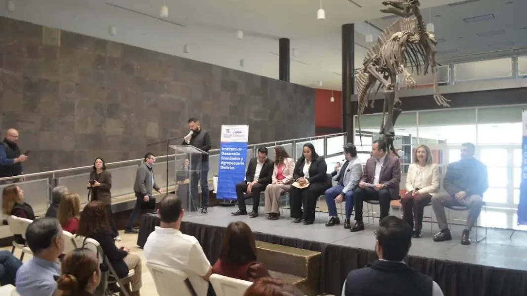 WhatsApp-Image-2026-02-19-at-19.51.58