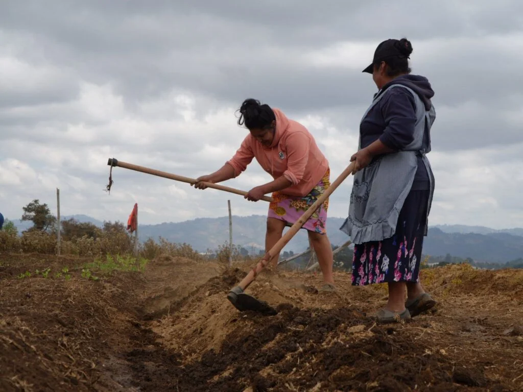 657875158_1243142801324180_7446404917255683674_n-1024x768