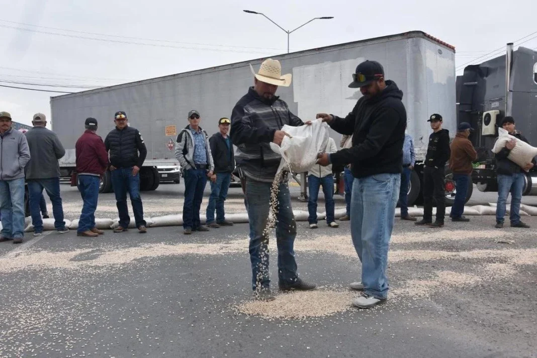 Chihuahua protestan productores de frijol y tiran en el asfalto su cosecha