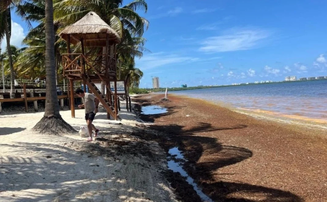 Organizaciones piden a Semarnat revisar actuación de SEMA en Quintana Roo