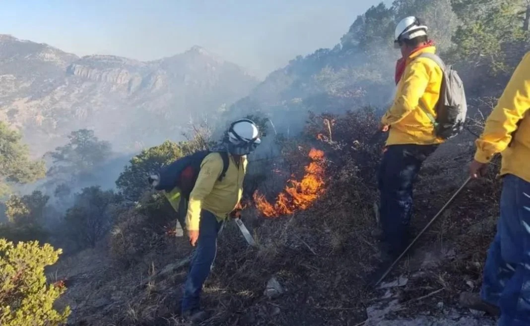 Suman 22 incendios forestales en Chihuahua
