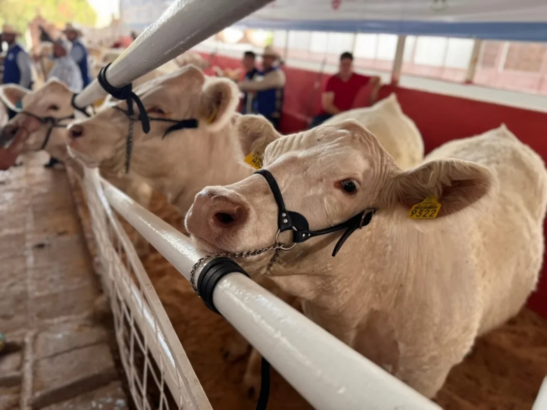 3-ganador-listo-eu-1536x1152 (1)