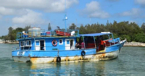 Canainpesca advierte riesgo para próxima temporada de camarón en Campeche